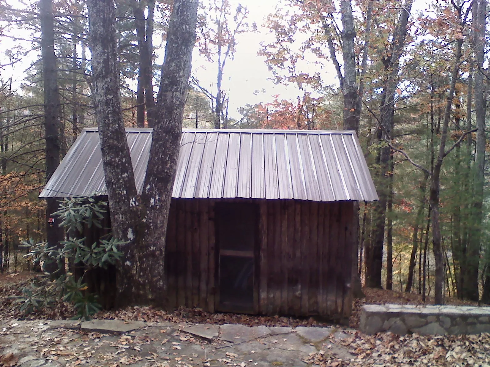 New metal gable roof on a small log shed among the trees in Cottonport